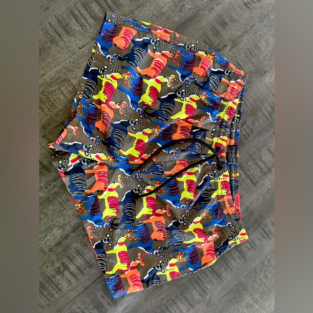 Zara Multicolor Patterned Men Shorts Hybrids/limited edition